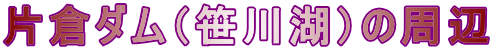 Бq_i΁j̎